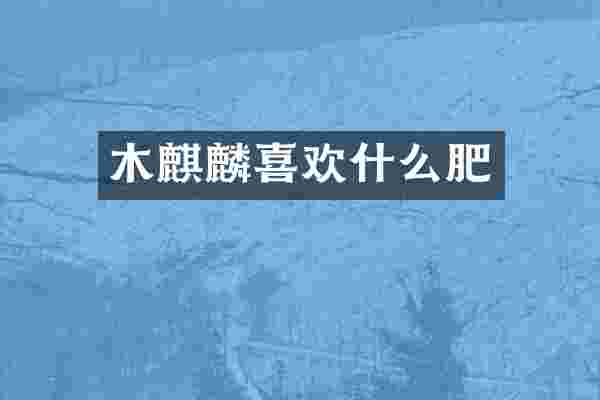 木麒麟喜欢什么肥