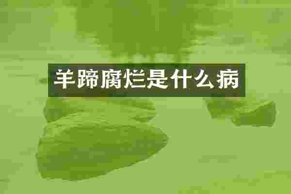 羊蹄腐烂是什么病