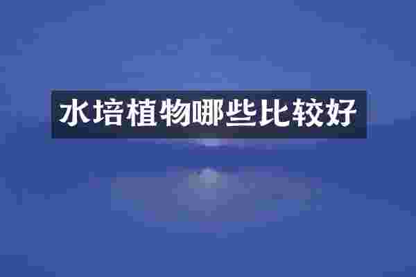 水培植物哪些比较好