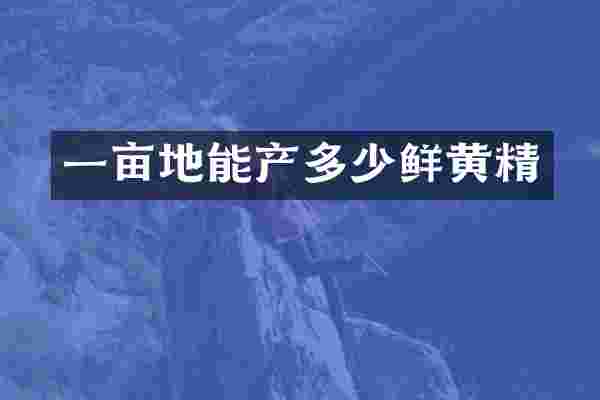 一亩地能产多少鲜黄精