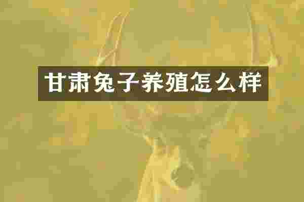 甘肃兔子养殖怎么样