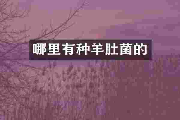 哪里有种羊肚菌的