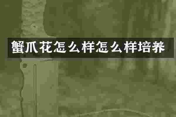 蟹爪花怎么样怎么样培养
