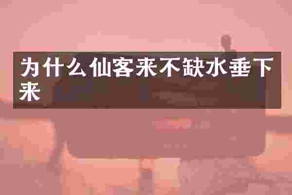 为什么仙客来不缺水垂下来