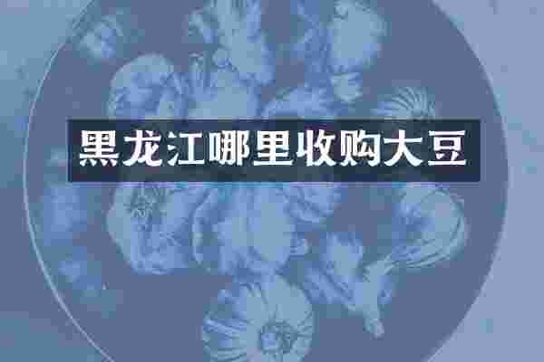 黑龙江哪里收购大豆