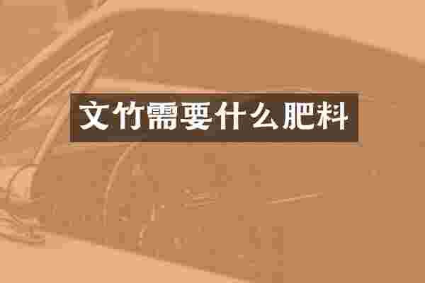 文竹需要什么肥料