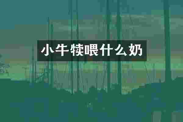 小牛犊喂什么奶