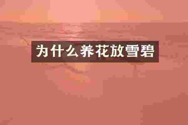 为什么养花放雪碧