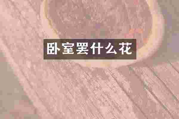 卧室罢什么花