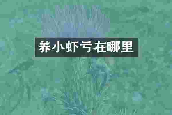 养小虾亏在哪里