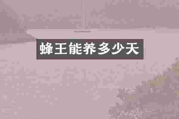 蜂王能养多少天
