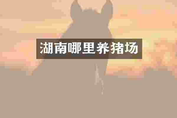 湖南哪里养猪场