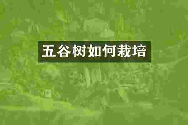 五谷树如何栽培