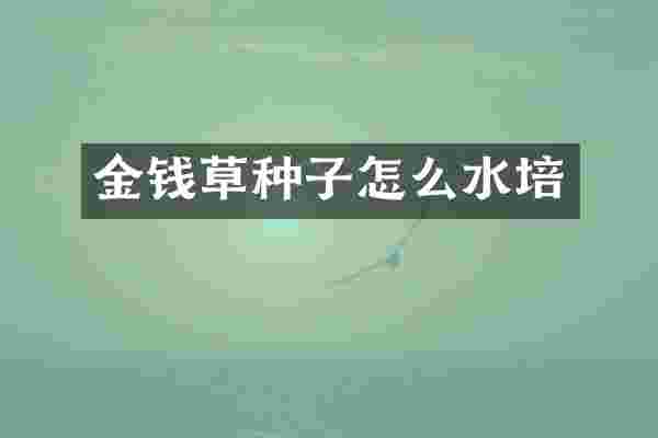 金钱草种子怎么水培