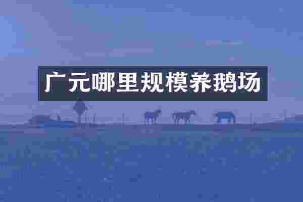 广元哪里规模养鹅场