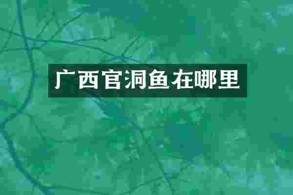 广西官洞鱼在哪里