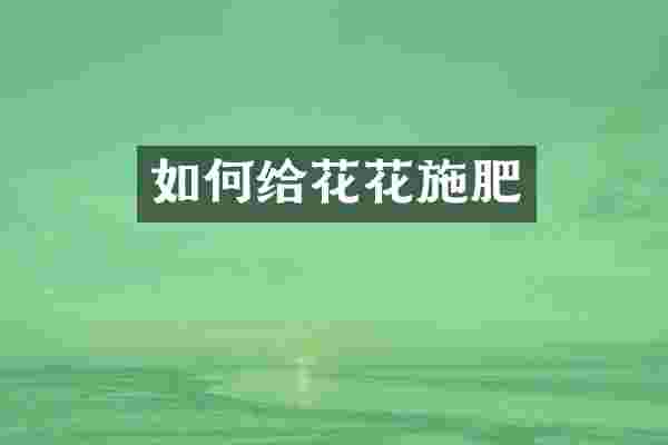 如何给花花施肥