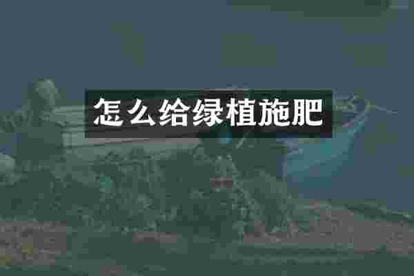 怎么给绿植施肥