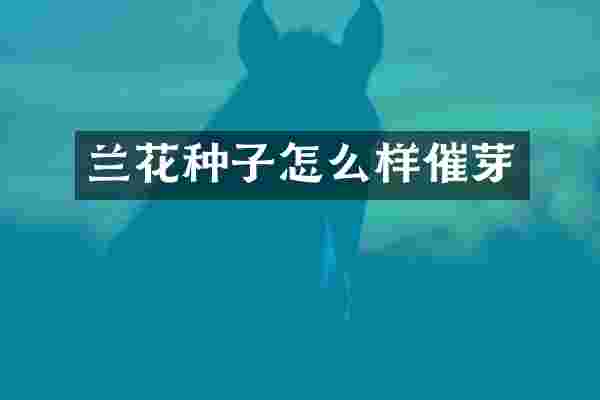 兰花种子怎么样催芽