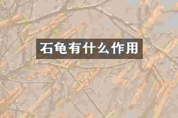 石龟有什么作用