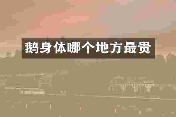 鹅身体哪个地方最贵
