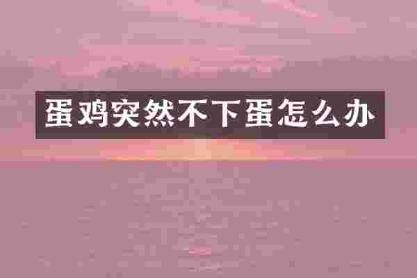 蛋鸡突然不下蛋怎么办