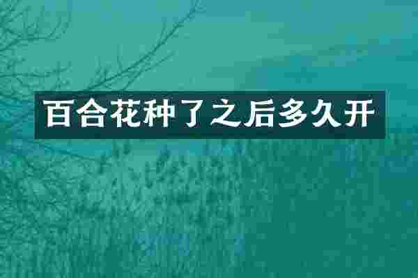 百合花种了之后多久开
