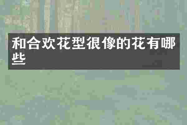 和合欢花型很像的花有哪些