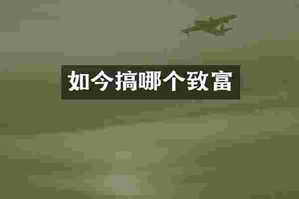 如今搞哪个致富