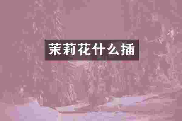 茉莉花什么插