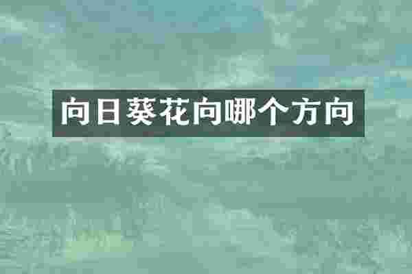 向日葵花向哪个方向