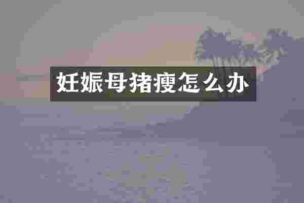 妊娠母猪瘦怎么办