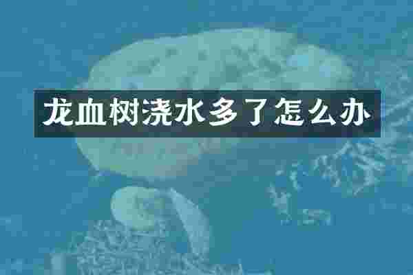 龙血树浇水多了怎么办