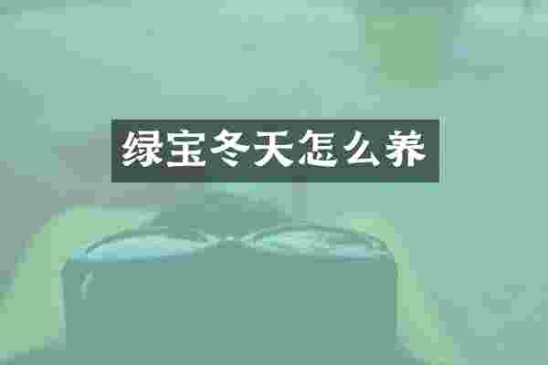 绿宝冬天怎么养