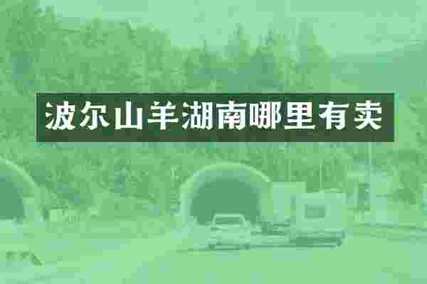 波尔山羊湖南哪里有卖