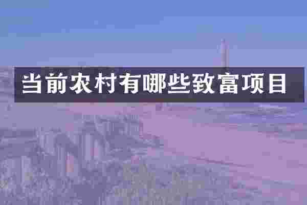 当前农村有哪些致富项目