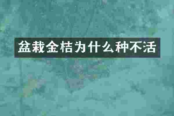 盆栽金桔为什么种不活