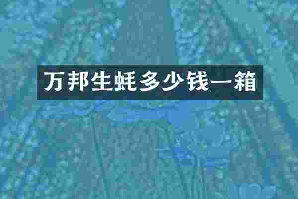 万邦生蚝多少钱一箱