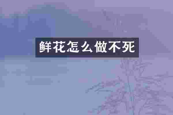 鲜花怎么做不死