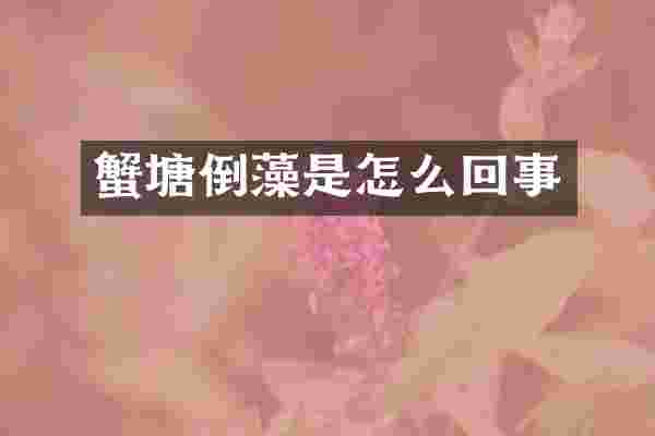 蟹塘倒藻是怎么回事