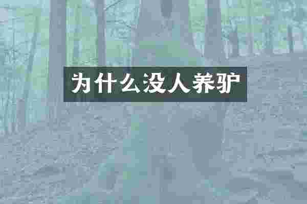 为什么没人养驴
