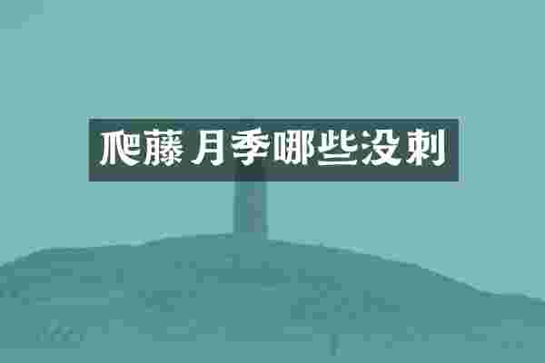 爬藤月季哪些没刺