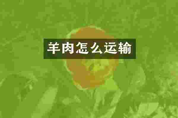 羊肉怎么运输