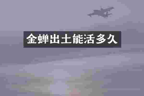 金蝉出土能活多久