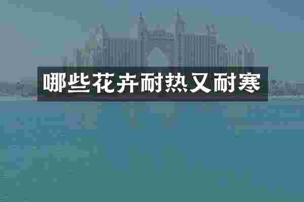 哪些花卉耐热又耐寒