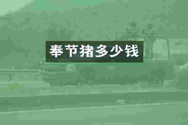 奉节猪多少钱