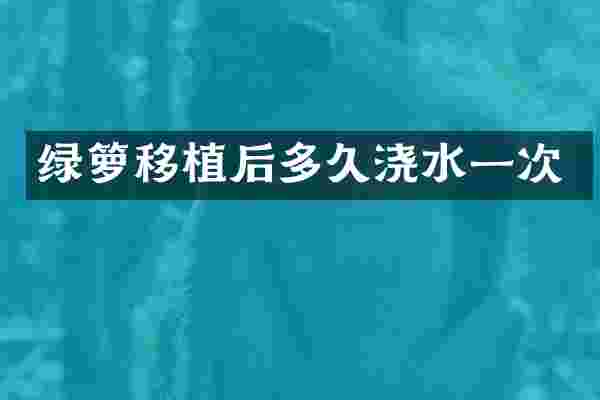 绿箩移植后多久浇水一次