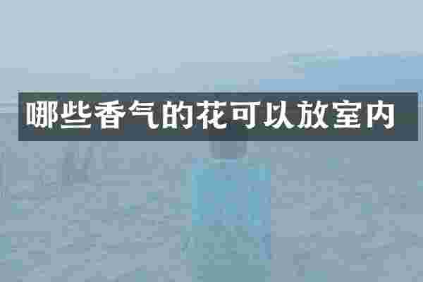 哪些香气的花可以放室内