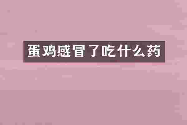 蛋鸡感冒了吃什么药