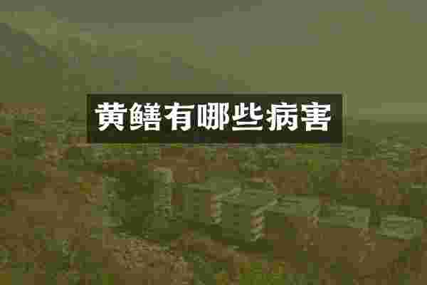 黄鳝有哪些病害